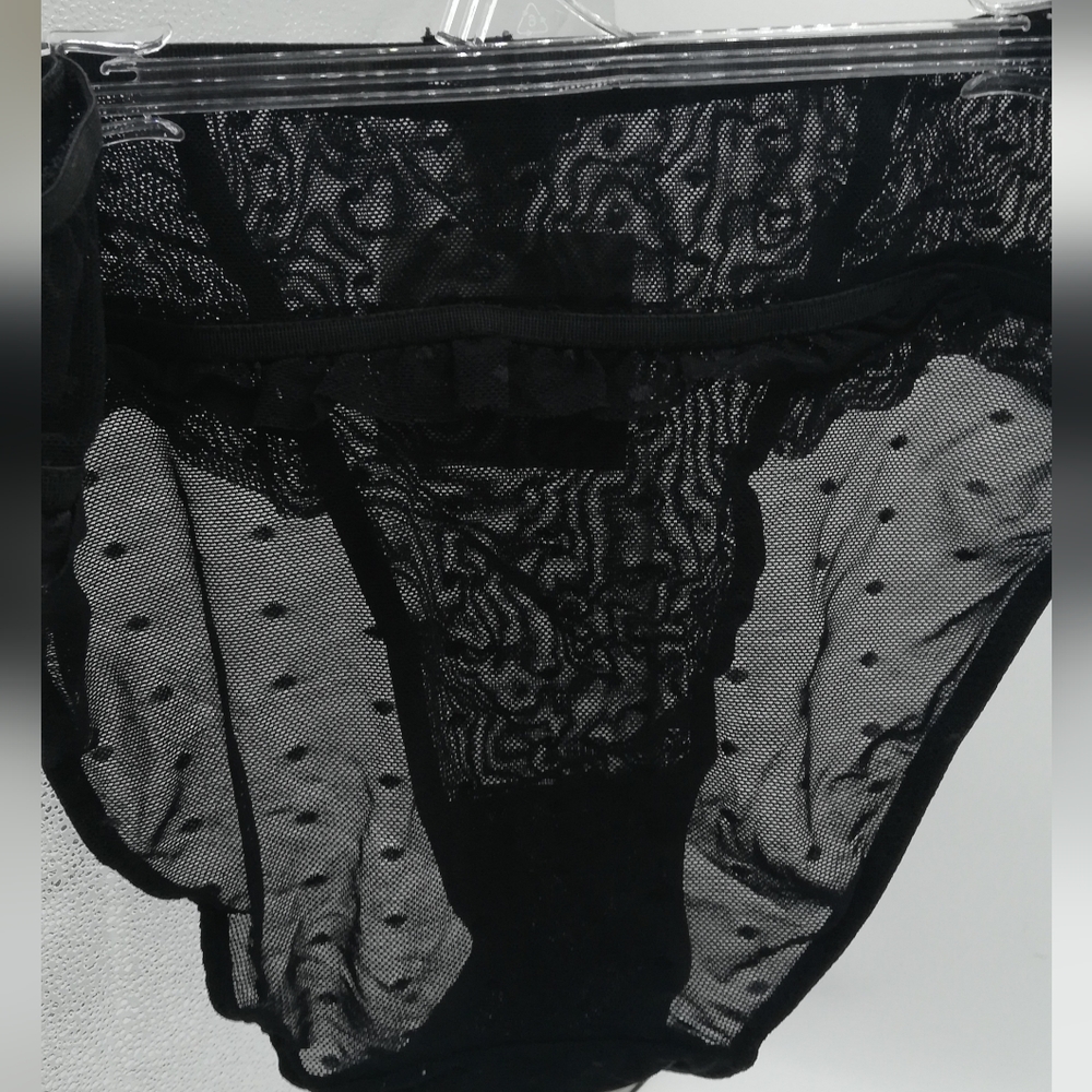 Sheer Black Lace & Mesh High-Cut Panty